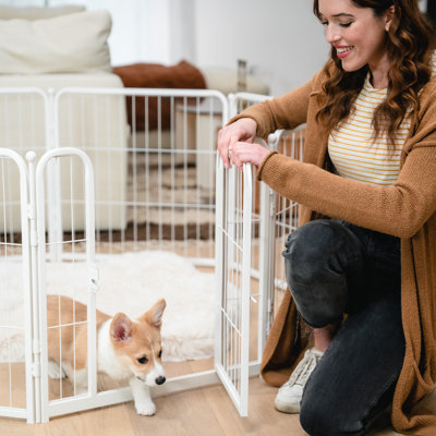 Archie Oscar Nelda Slide Aside Pet Crate Reviews Wayfair